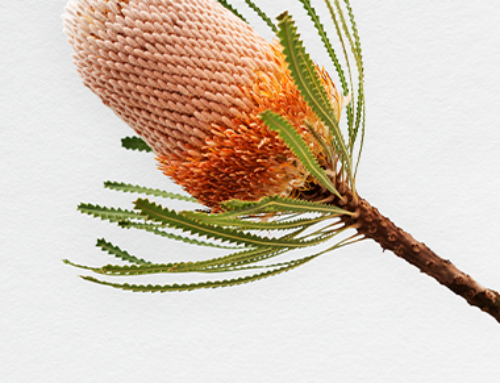 Trending in Real Estate